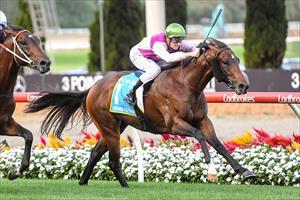 Zamborghini & Ethan Brown, Moonee Valley, March 2022